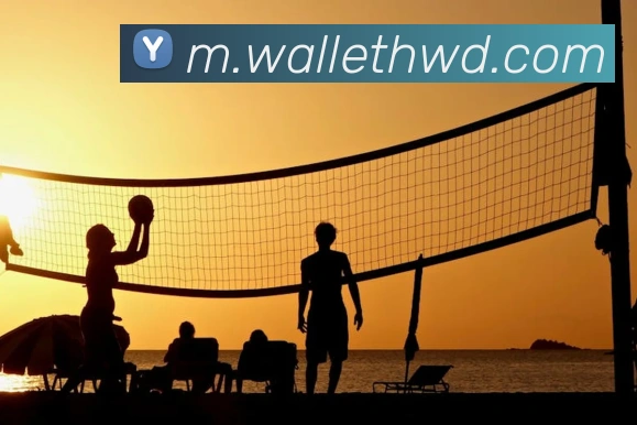 多媒体互动体验